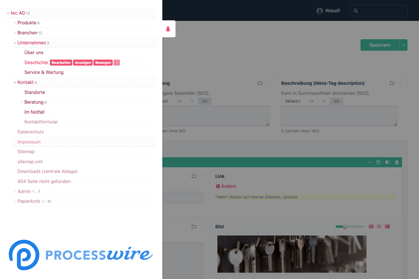 Website mit ProcessWire Content Management System